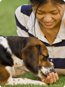 Pet Resources, Ask Your Vet! - Westside Animal Hospital